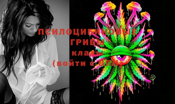 гидропоника Бронницы