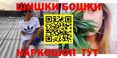 сатива Лесосибирск