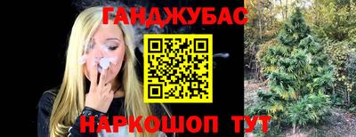 сатива Лесосибирск