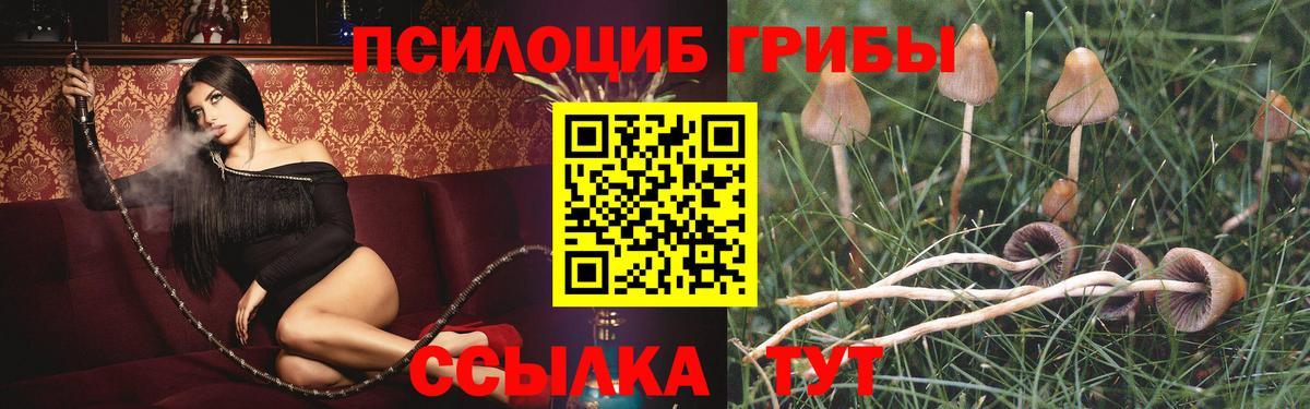 Псилоцибиновые грибы GOLDEN TEACHER  Вход с VPN  дарнет шоп  Гудермес 